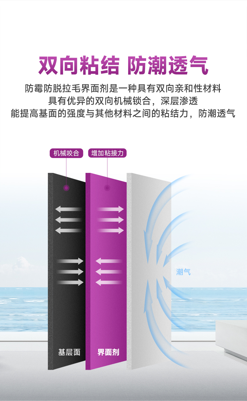 不朽情缘_首页官网入口